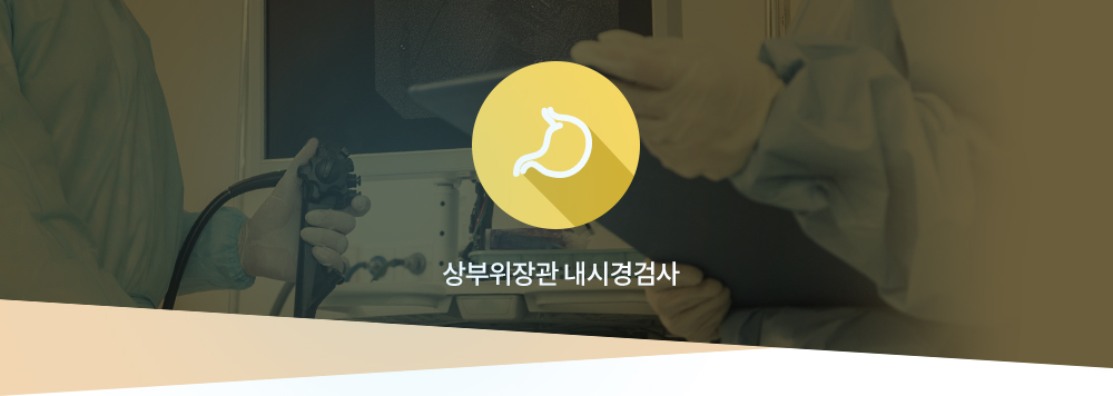 위내시경 : 상부위장관 내시경검사 