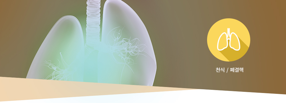 호흡기 질환 : 천식  /  폐결핵