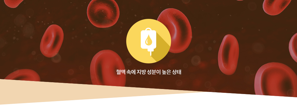 고지혈증 : 혈액 속에 지방 성분이 높은 상태
